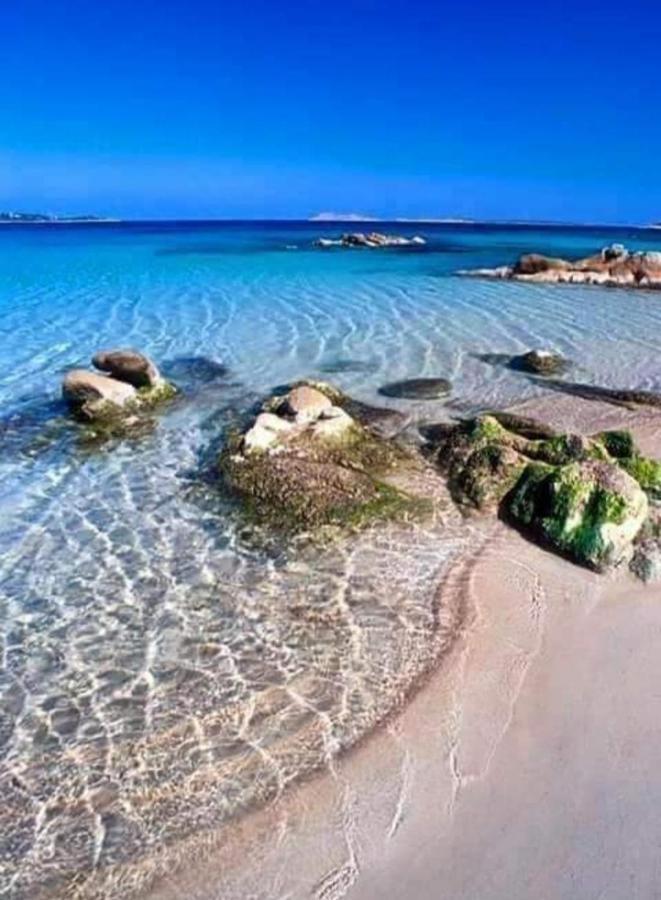Suite Antonio Cagliari Dış mekan fotoğraf